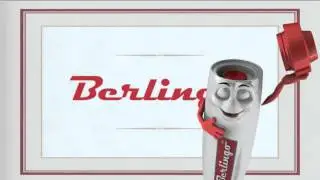 Визитницы Berlingo