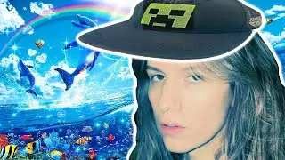 SDMP fish & chill