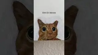 how do I choose which cats to paint? 