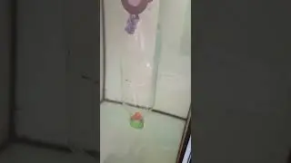 Инкубация икры L-397