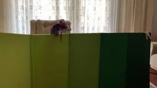 Cici ile Meraklı