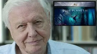 David Attenborough on Climate Facts vesves Blue Planet Two #Oceans #Plastics - The Best Documentary