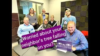 Worried about your neighbors tree falling on you? Here's what to do.