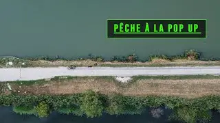 Une nuit d'été en canal ~ Pêche de la carpe