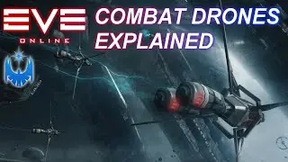 Eve Online's Combat Drones Explained!