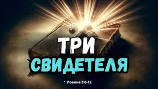 Три свидетеля | Константин Коваленко (31.10.24)