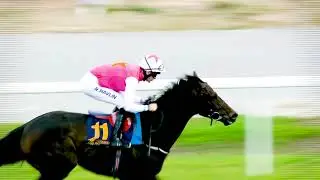 Stockholm Cup, September 20 at Bro Park