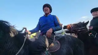 Алыш балбан бир тайга таштады