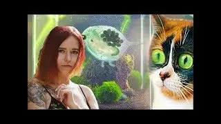 ДЕНЛИ СМОТРИТ ПОДВОДНЫЙ ТЕРРАРИУМ, БОЛЬШИЕ ПЕРЕМЕНЫ!