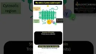 Structure of G Protein Coupled Receptor