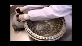 How It's Made Farmed Caviar Discovery Online