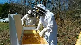 Easy Frame Horizontal Hive