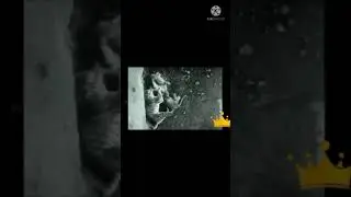 बाघ और शेर की लड़ाई | Lion vs tiger Real fight || who is king 👑  tiger vs lion || animal fight