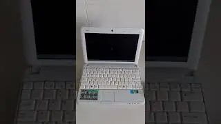 XenialPup.