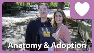 Anatomy and Adoption - The Creation of Us (S2:E5)