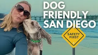 Dog-Friendly San Diego: Tips and Tricks for a Safe and Fun Experience