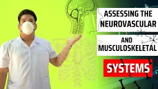 ASSESSING THE NEUROVASCULAR AND MUSCULOSKELETAL SYSTEM