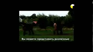 Документальный фильм «Заговор против БОГА»