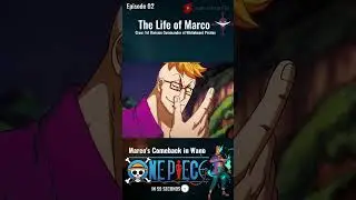 Marco | One Piece Characters in 59 Seconds.