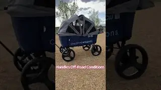 Buggy Wagon: An Epic Wagon For Your Summer Fun