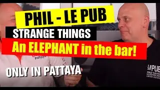 Pattaya Bars - There is an Elephant in the bar! Only in Pattaya as Le Pub boss tells all! (2021)