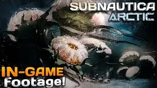 Subnautica: Arctic expansion IN GAME! | Subnautica News 