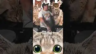 New DJ Live Stream Setup - CATS