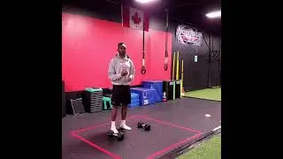 F.S Library - DB loaded bi lateral vertical jump - with pause