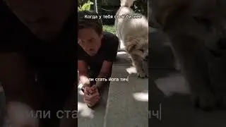 Узнали себя, предприниматели?