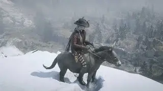 Red Dead Online So Far Vol. 2
