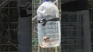 доброта должна быть такой) лопайте лопайте