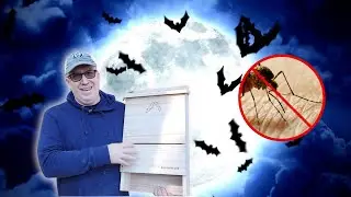 DIY Bat House Installation to combat mosquitoes