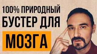 Ежовик Гребенчатый || Прокачать МОЗГ на 100% || #грибы #подсознание #терапия