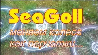 Liegerad SeaGoll. different wheel test. 15.07.2019