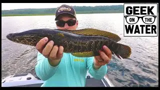 Northern SNAKEHEAD fishing | EXPENSIVE Bass Boat