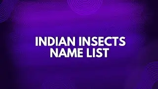 INSECTS IMAGE LIST || RevealYourSkill || #shorts