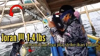 NGGAK DI SANGKA || TERNYATA DI BAGAN INI BANYAK IKAN BABONYA❗