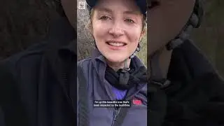 Greater gliders move into 'Goldilock' nest boxes! | WWF-Australia