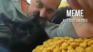 2023 Channel Update & Kitty Cat Cancer