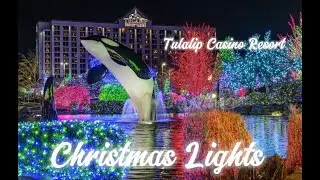 Tulalip Resort Christmas light. Christmas light,.