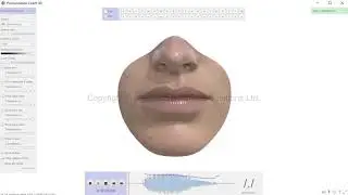 How to pronounce the US English /r/ sound