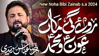 Roye Gi Maa Aun o Muhammad || Syed Raza Abbas Zaidi || New Noha Bibi Zainab s.a 2024