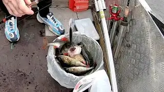 ВЕДРО РЫБЫ! На что ЛОВИТЬ ОСЕНЬЮ. Карелия, Онежское озеро.