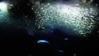 Danse des Sardines