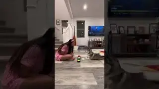 Sapphie la pomsky reacciona a mamá llorando 😢