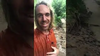 The wild adventures of re-locating to México in the rainy season.