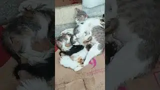 Anne de mutlu yavrular da bizde elimizden geleni yapıyoruz #iyilikdokunușu