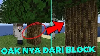 Minecraft tapi Setiap Block Terdiri Dari Block - PixelBlock