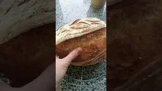 White crusty bread | Показываю белый хрустящий хлеб который я испекла в духовке
