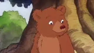 Little bear stomach growl 2